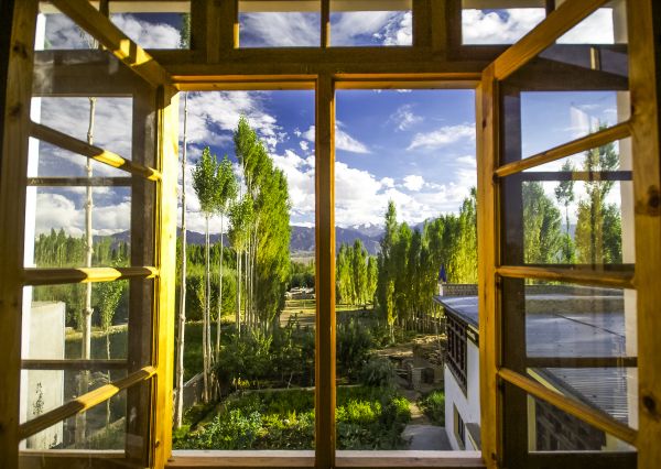 Cost of Wood Window Replacement in Brighton