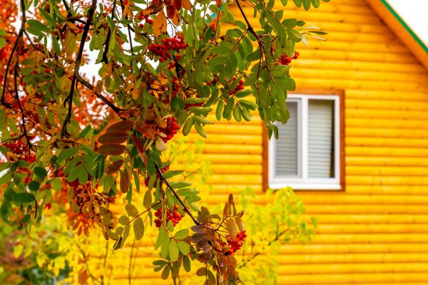 Cost of Garden Window Replacement in Brighton